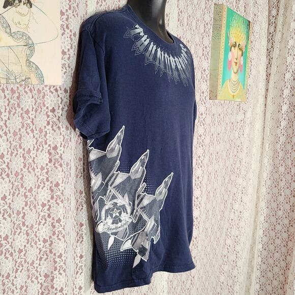 Gildan Blue Thunderbirds US Airforce jet graphic logo t-shirt size large - Picture 3 of 8